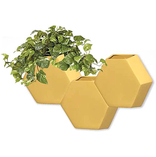 Burguina 6112 - 0158